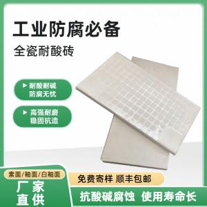 300*600*15mm耐酸砖 大规格污水池防腐砖 J