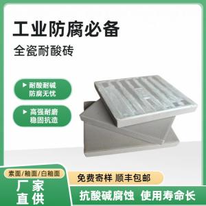 200×200 加厚耐酸砖 J
